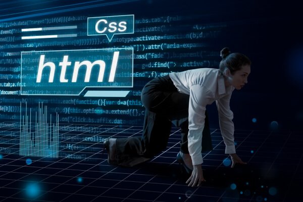 Web Designer Job